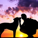 The boy with a dog against to sunset.