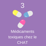 3-intoxications-medicaments-chat