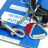 Halsband und Ausweis