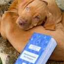 passeport santé chien