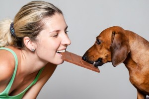 danger du chocolat pour le chien