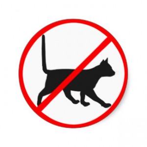 interdit aux chats