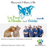 radio santé animale