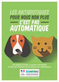 Prévention antibiotiques animaux