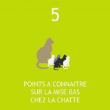 Zoom sur la mise bas chez le chatte - Vetalia