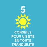 conseils-ete-chiens-chats