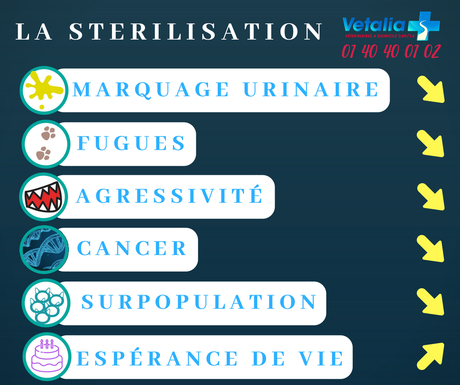 sterilisation