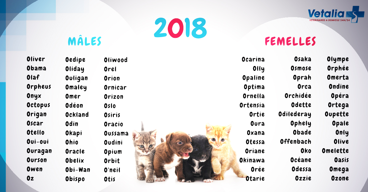 Bonne Année 2018 Et Donnez à Votre Animal Un Prénom En O