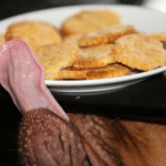 illu_chien_diabete 382x260