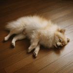 Épilepsie canine : guide complet pour comprendre et soutenir votre chien